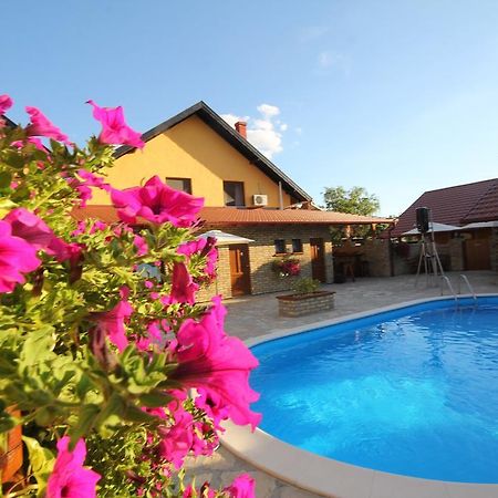 Guest House Vila Alexandar Palić Exterior foto